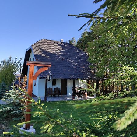 Vila Hajdi Planina Tara Bajina Basta Bagian luar foto