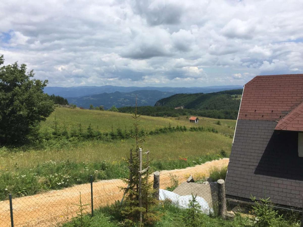 Vila Hajdi Planina Tara Bajina Basta Bagian luar foto