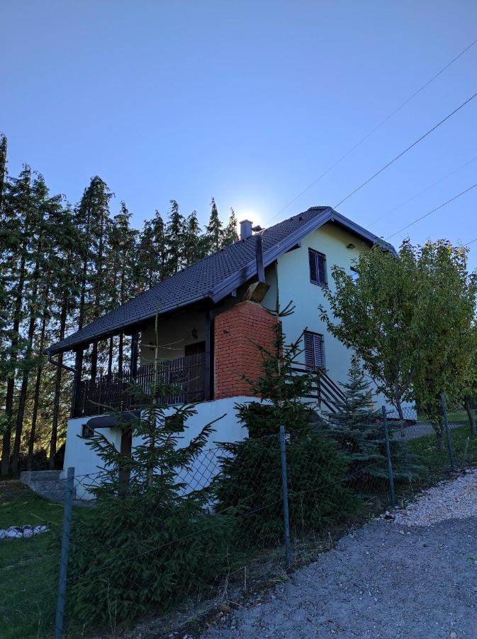 Vila Hajdi Planina Tara Bajina Basta Bagian luar foto
