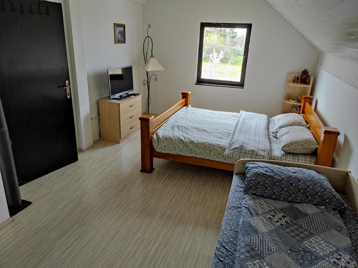 Vila Hajdi Planina Tara Bajina Basta Bagian luar foto