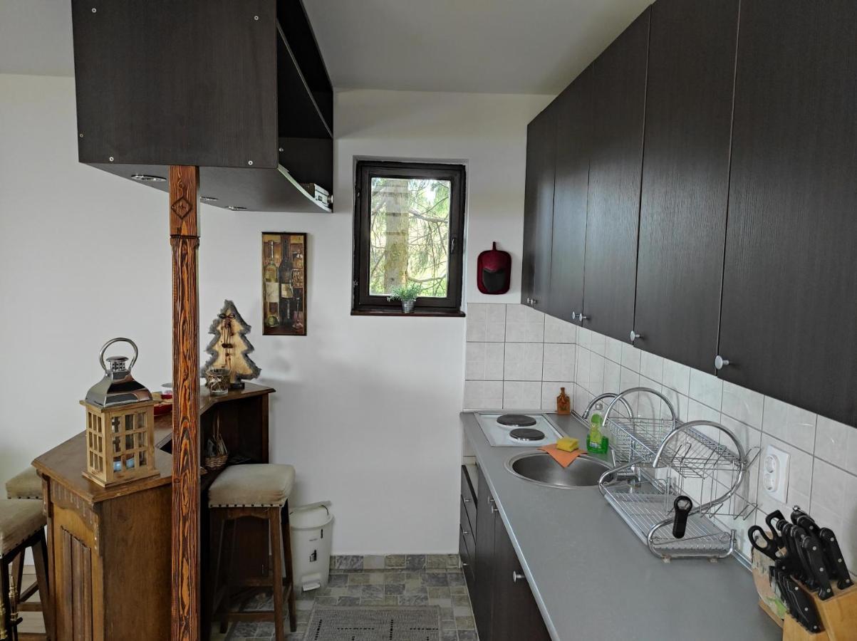 Vila Hajdi Planina Tara Bajina Basta Bagian luar foto