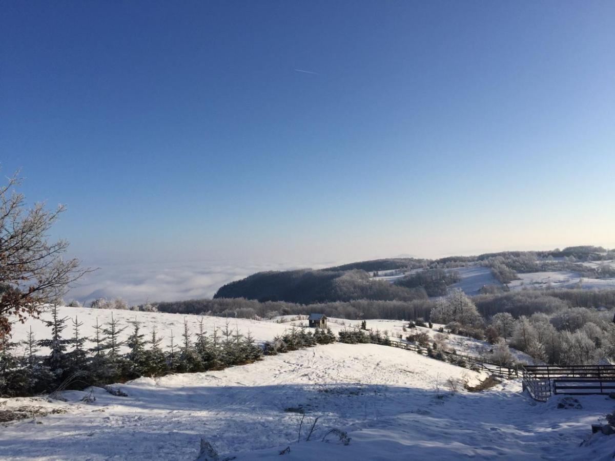 Vila Hajdi Planina Tara Bajina Basta Bagian luar foto
