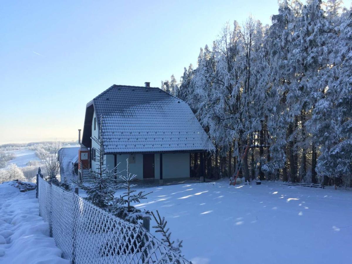 Vila Hajdi Planina Tara Bajina Basta Bagian luar foto
